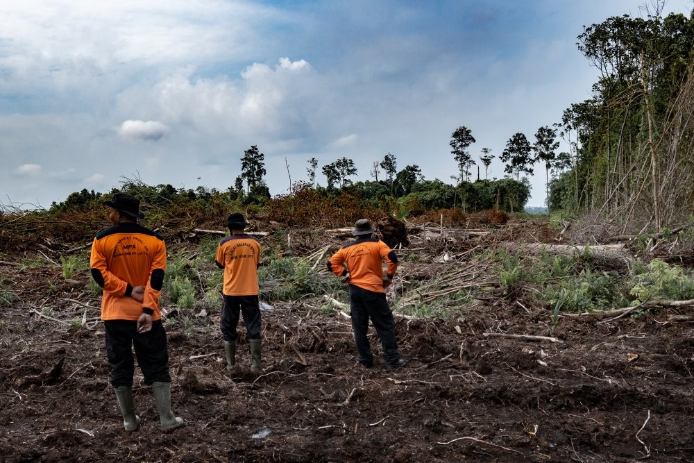 Three members of the Rawa Mekar Jaya community fire group survey degraded land for fire risk on September 8, 2020. Wildfires in Indonesia decreased in the year to end-September compared with a year earlier. (Thomson Reuters Foundation/Harry Jacques)